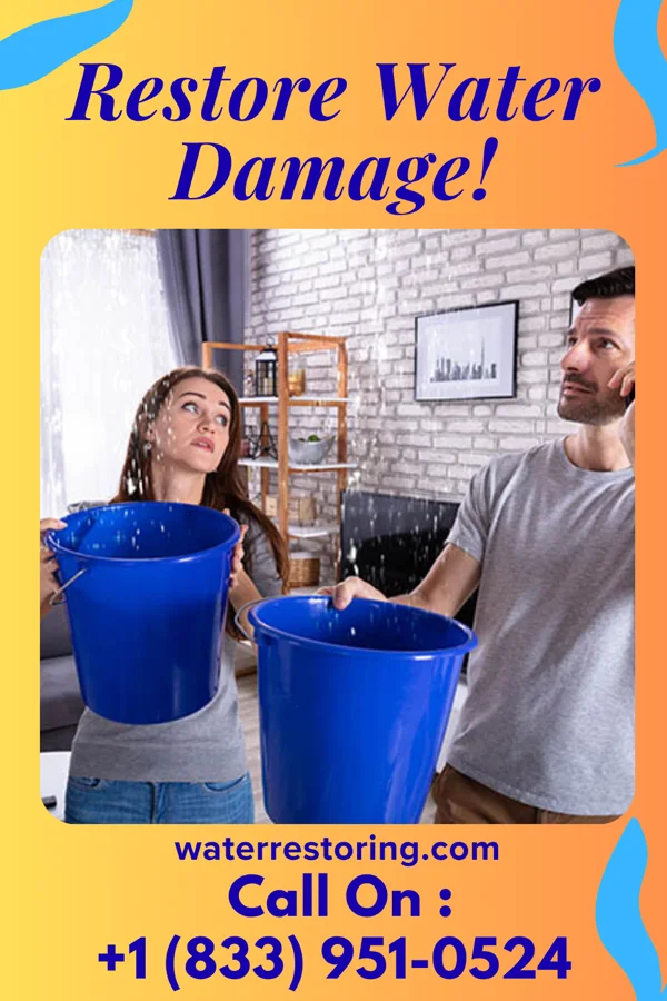 water restoration Sentinel Flood Cleanup Company Lake View