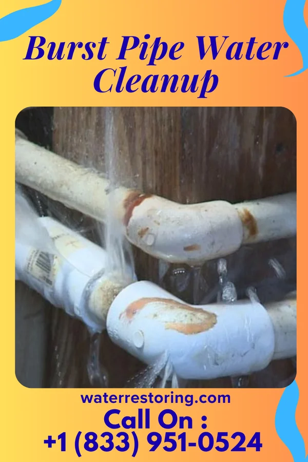 Burst Pipe Water Cleanup in Lake View, IA