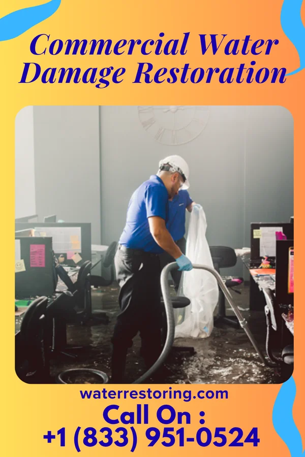 Commercial Water Damage Restoration in Lake View, IA
