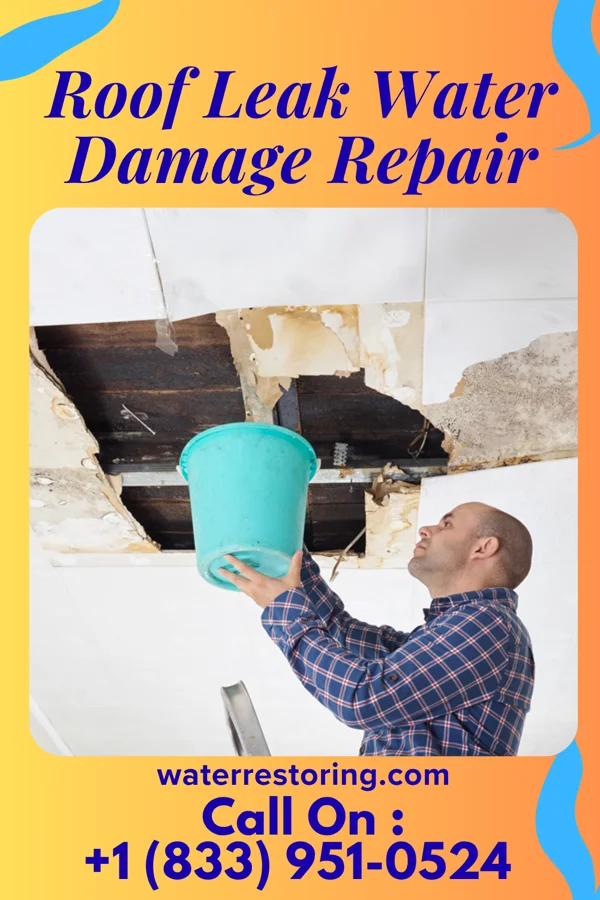 Roof Leak Water Damage Repair in Lake View, IA