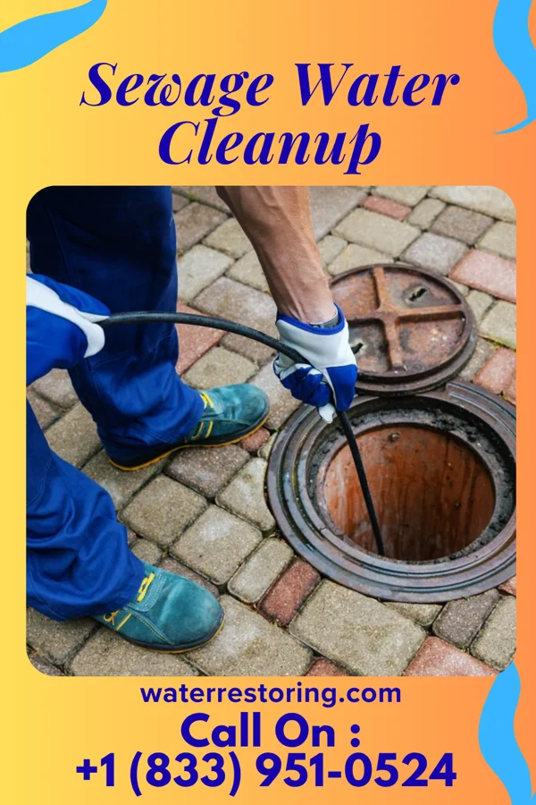 Sewage Water Cleanup in Lake View, IA